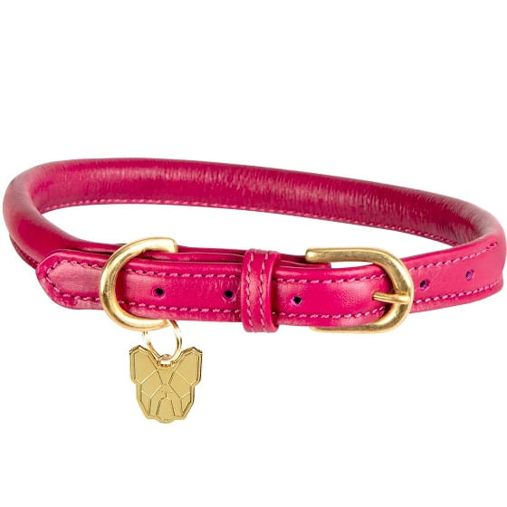 Digby and shop fox dog collar