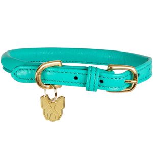 Shires Digby & Fox Rolled Collar - Teal