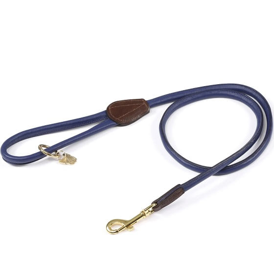 Navy dog outlet leash