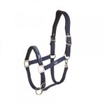 SCHO-1311-00030-night