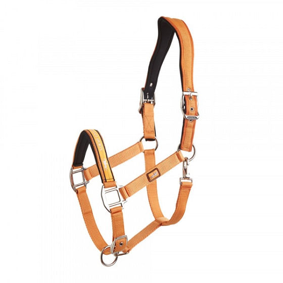 Classic western raw leather halter with carabiner hook from