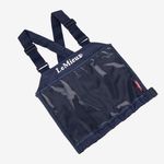 LEMX_bib_navy-main