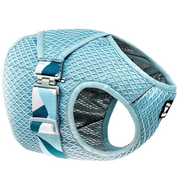 Weatherbeeta Rolled Leather Dog Collar – Lederhalsband Für Hunde, Large, Teal, Mit Messingbeschlägen