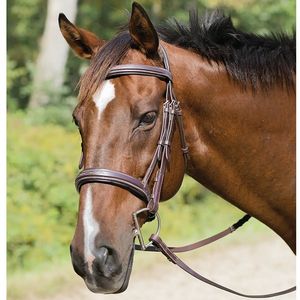 Shires Avignon Wellington Bridle - Havana