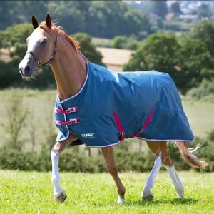 Shires Tempest Rain Sheet - Teal