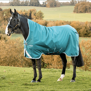 Amigo Bravo Wug 250g Turnout - Storm Green/Turquoise/Aqua