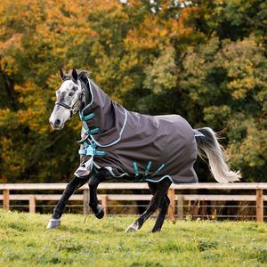 Amigo Bravo 12 Plus 250g Turnout with Disc Front Closure  - Excalibur /Aqua & Turquoise