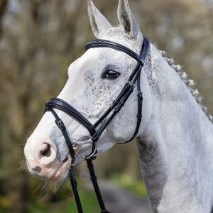 LeMieux Competition Flash Bridle - Black