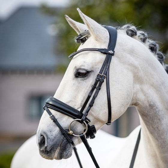 Dressage Bridles