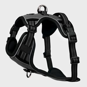 LeMieux Winchester Dog Harness - Black