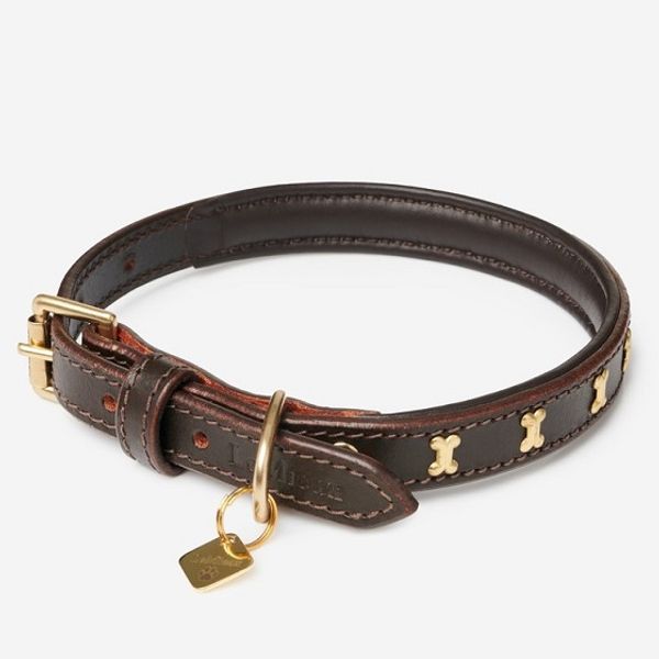 Dog hotsell collar price