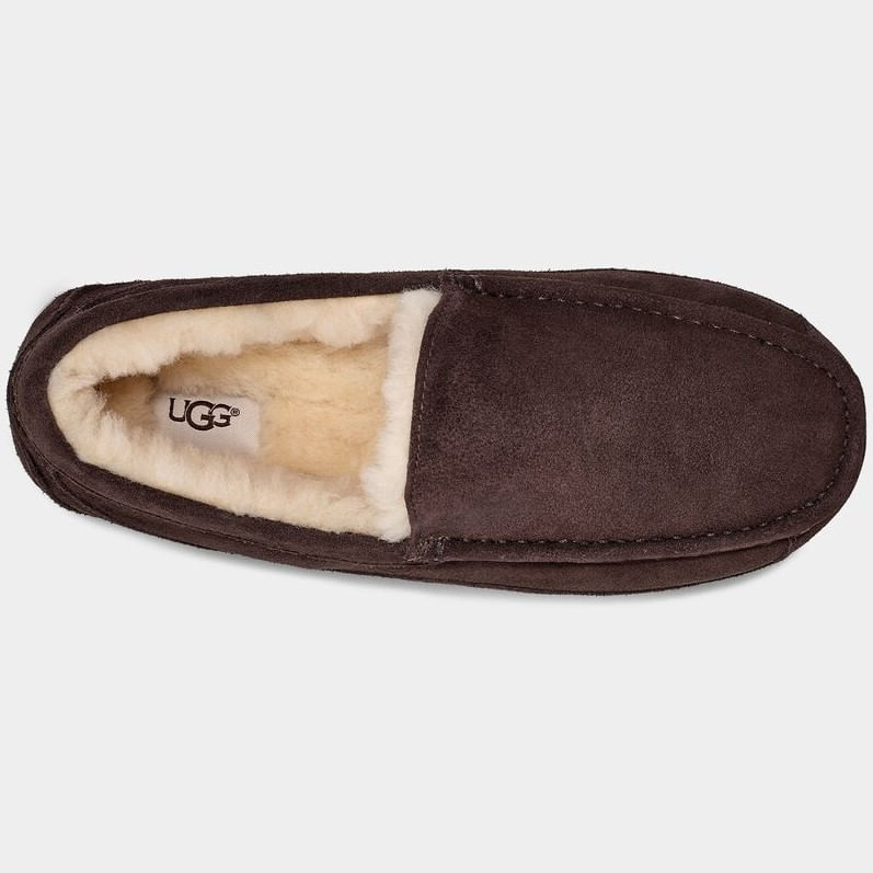 ugg mens ascot espresso