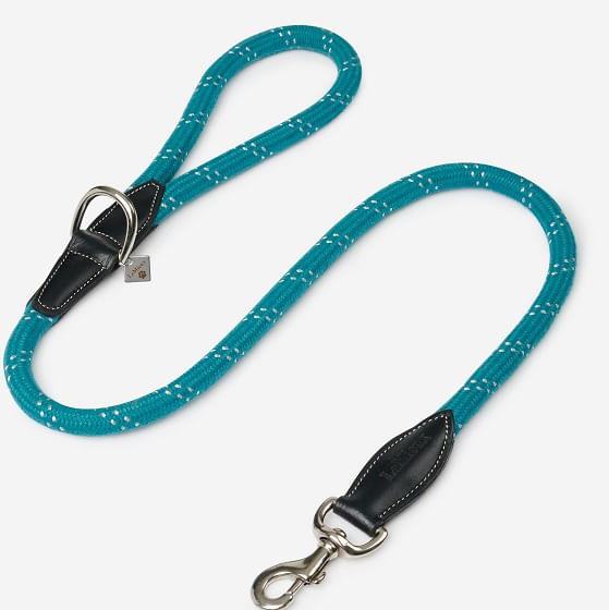 Lemieux-IT02624066