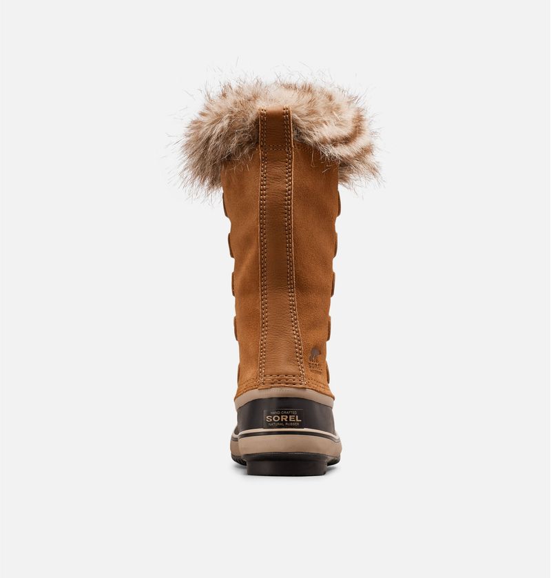 Brown sorel joan outlet of arctic boots