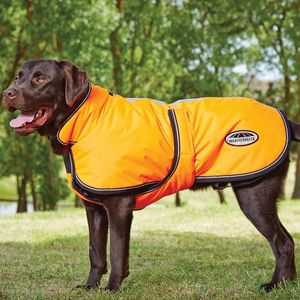 Weatherbeeta Comfitec Reflective Parka 300D Deluxe Dog Coat - Orange