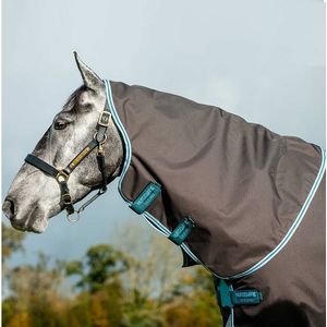Amigo Bravo Rain Sheet Hood - Excalibur/Aqua/Turquoise
