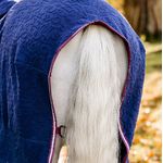 Horseware-ACHJKP-B5QW-rear-strap