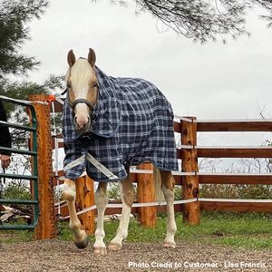 Rhino Plus Rain Sheet - Navy Check/Indigo