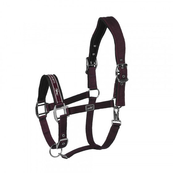 B Vertigo Evolve Leather Halter with Braided Accents