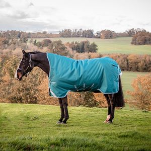 Amigo Bravo Wug Rain Sheet - Storm Green/Turquoise/Aqua