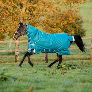 Amigo Bravo 12 Plus 400g Turnout - Storm Green/Turquoise, Aqua & Blue