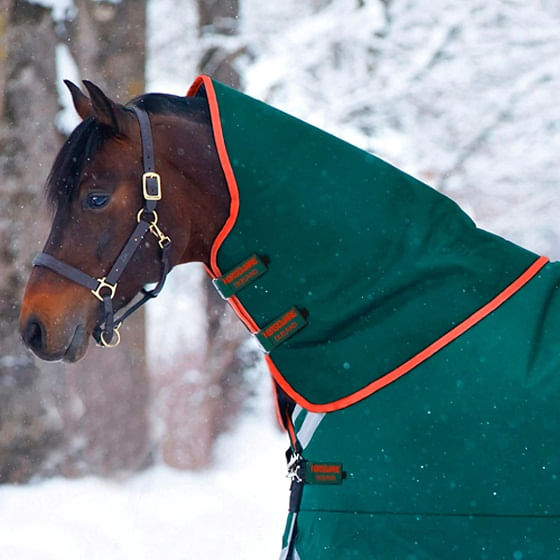 Estrella Horse Blankets - Horse Sheets, Hoods & More!