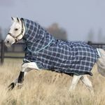 akbp92-c3d0_rhino-pony-plus-medium-200g-horse-blanket-600x640