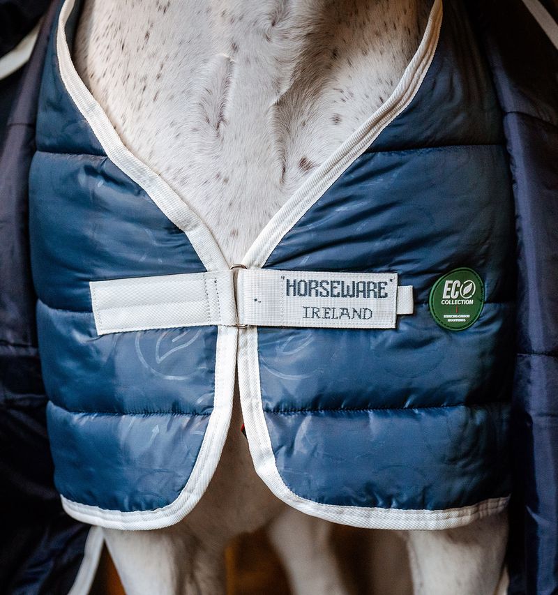 Horseware Eco Liner 100gteal Teal