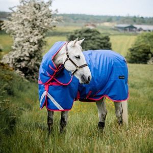 Amigo Bravo 12 Reflectech Plus 250g Turnout -  Blue/Reflective/Pink