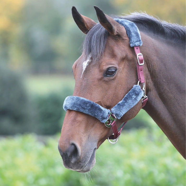 Shire-Fleece-Lined-Halter---Burgundy