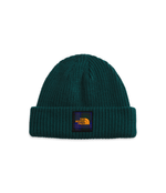 The-North-Face-Unisex-Salty-Dog-Beanie---Ponderosa-Green-Ponderosa-Green-Medium-Icon-Plaid-2