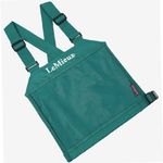 thumbnail_lemieux-eventing-bib-peacock