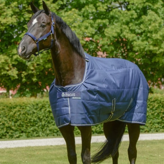 Stable Rug Bucas Quilt Stay Dry 150g - Our Saddlery .com