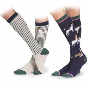 Shires Aubrion Bamboo Socks2 Pack - Dog