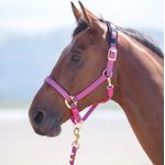 Shires-387L-Pink