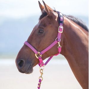 Shires Topaz Nylon Breakaway Halter - Pink