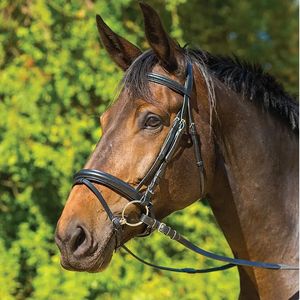 Shires Avignon Aspen Bridle - Black