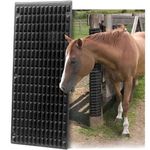Shires-5251