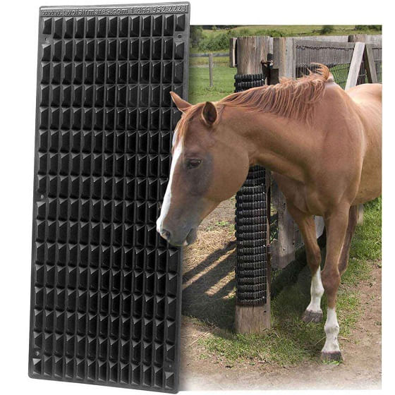 Shires-5251