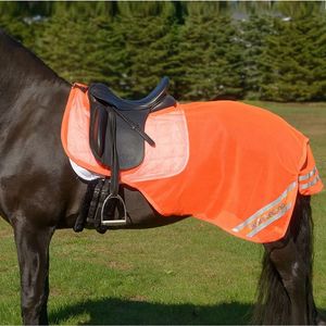 Shires Equi-Flector Mesh Exercise Sheet - Orange