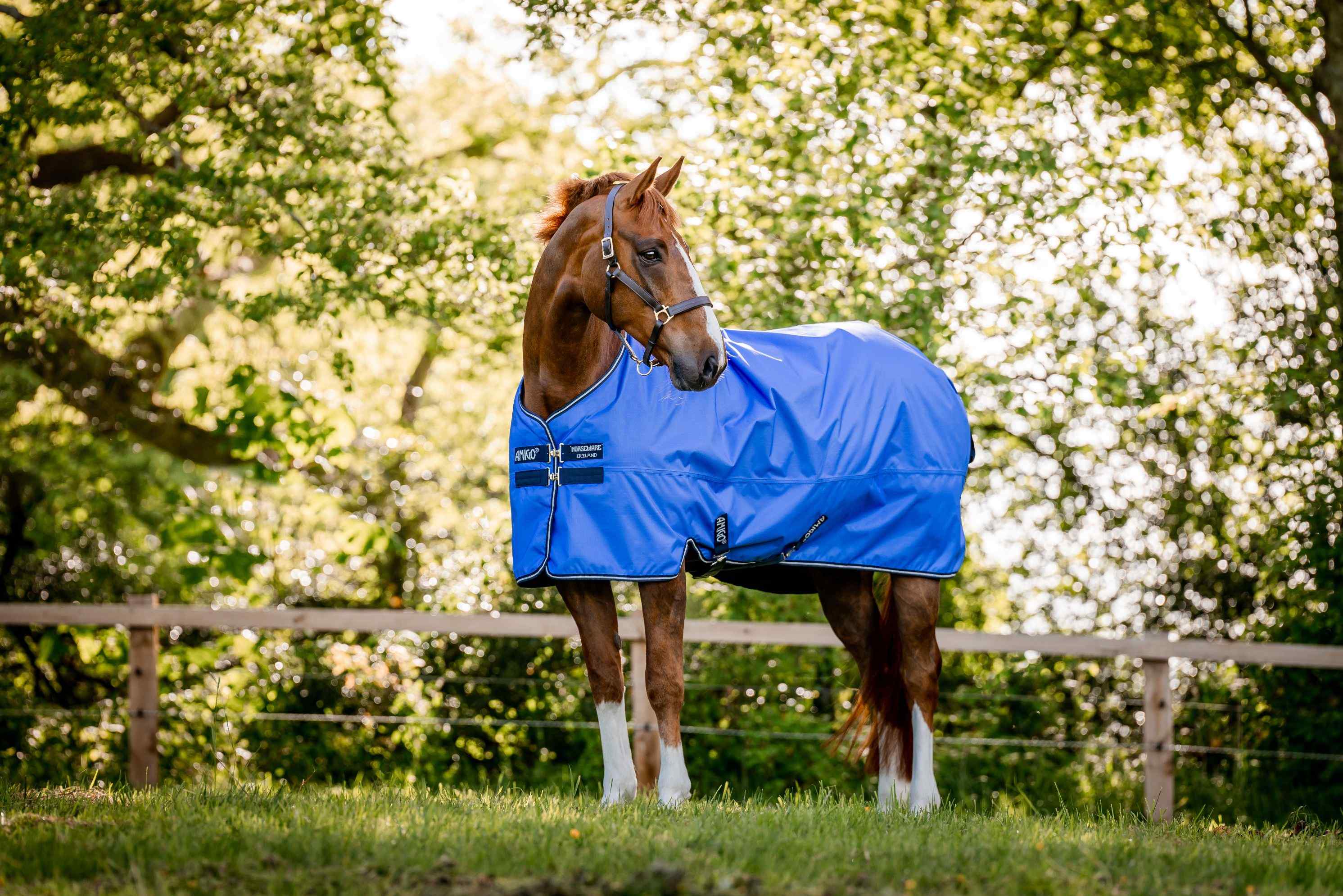 Horseware Amigo Hero 600D Ripstop 50 G Di Imbottitura 115 Cm Shadow Blue Haze Navy - Foto 13