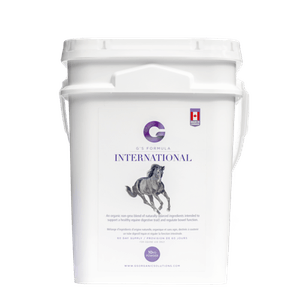 Digestion & Gut Health Supplement – G's Organic Solutions - G's Formula International for Horses