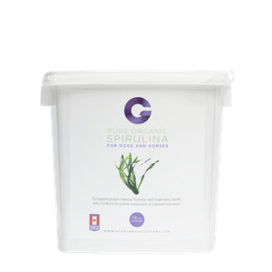 Overall Health Supplement - G's Organic Solutions - Pure Organic Spirulina Tablets