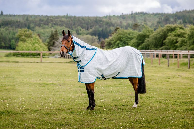 Amigo-Aussie-All-Rounder---Blue-Check-Electric-Blue-Navy