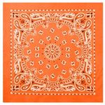 Rothco-Trainmen-Paisley-Bandana---Orange