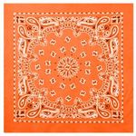 Rothco-Trainmen-Paisley-Bandana---Orange