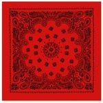 Rothco-Trainmen-Paisley-Bandana---Red-Black