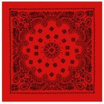 Rothco-Trainmen-Paisley-Bandana---Red-Black