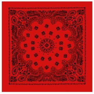 Rothco Trainmen Paisley Bandana - Red/Black