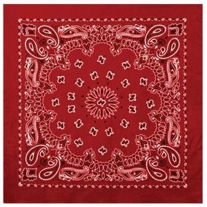 Rothco Trainmen Paisley Bandana - Red/White